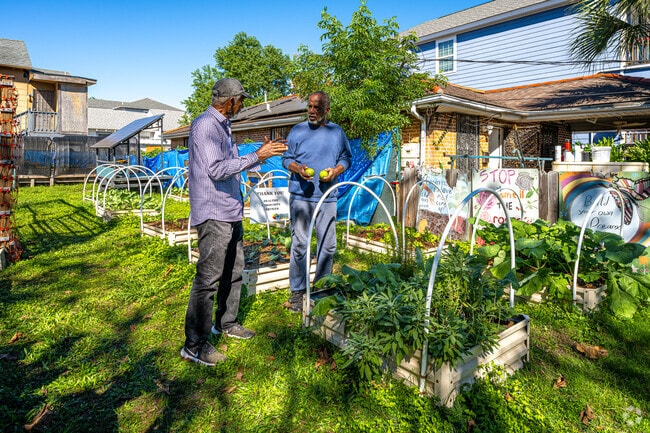 The Dixon community garden is a gathering place for residents.