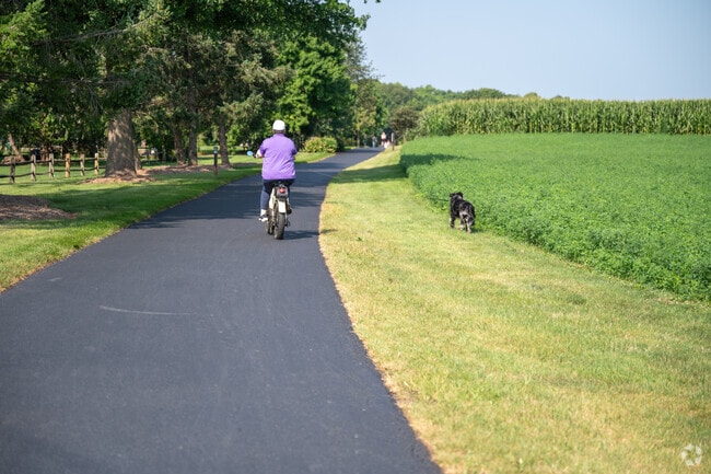 Spend some quality time with your best friend in Rothsville.