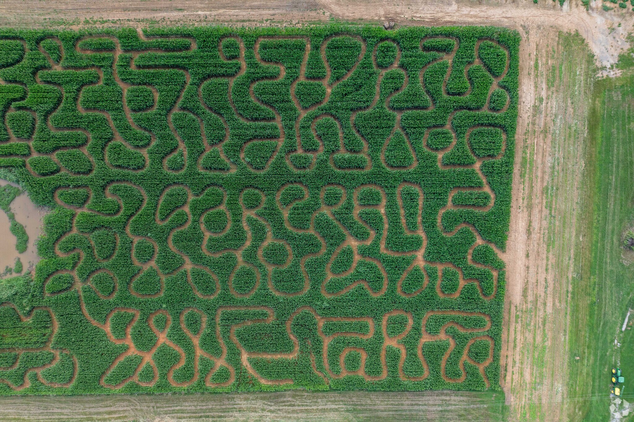 Boyd's Pumpkin Patch and Corn Maze is a local fall season destination near Holly Point.