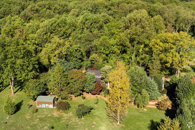Overview of Birds of a Feather School and the lush greenery that surrounds its campus.