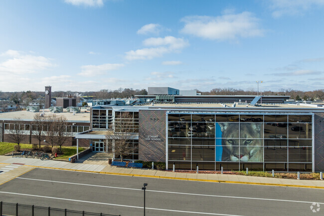 There is also a large mural of a lion on  the windows at James B Conant High School.