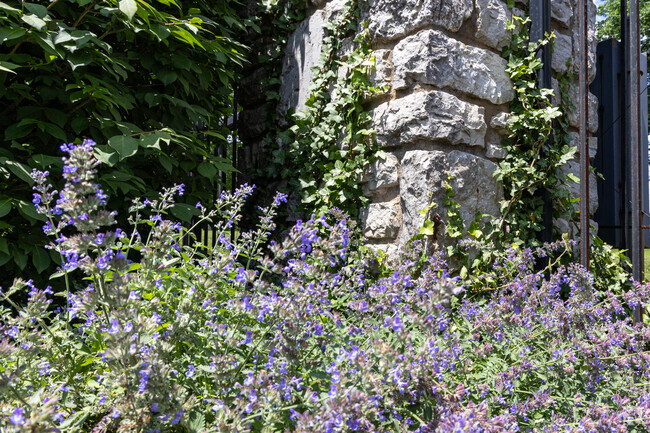 You might have a look harder, but beauty can still be found throughout Wesleyan Hill.