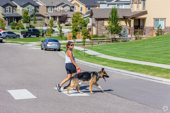 Harmony Park is a great place to walk your dog.