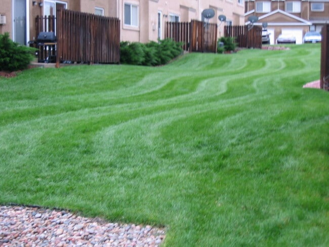 Spacious back yard