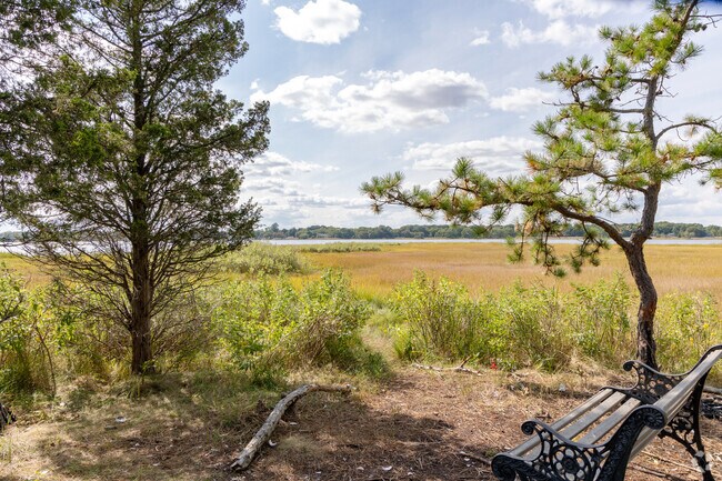 At the Palmer River View in the Haile Farm Preserve in the North Warren neighborhood is a bench.