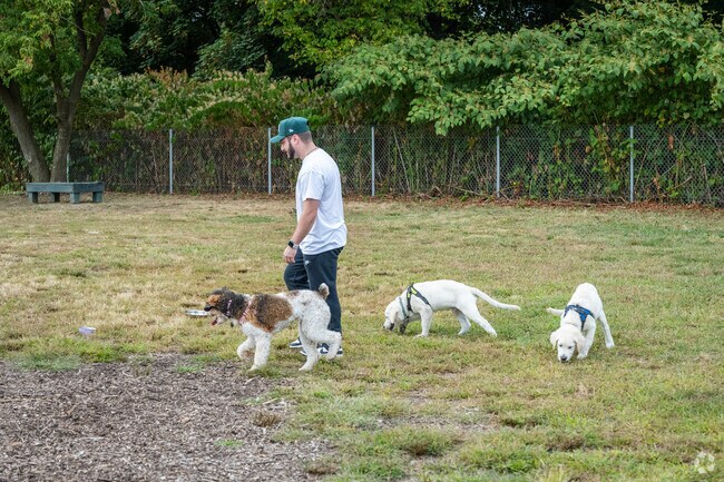 Gano Dog Park is perfect for walks and socializing with fellow dog owners in Fox Point.