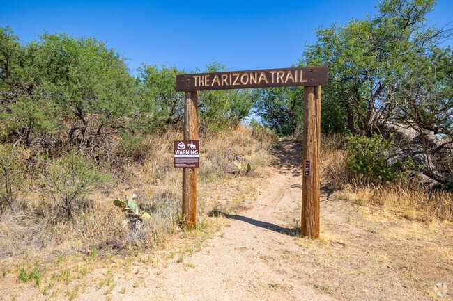 Discover the splendor of the Sonoran Desert on the Arizona National Scenic Trail in San Manuel.