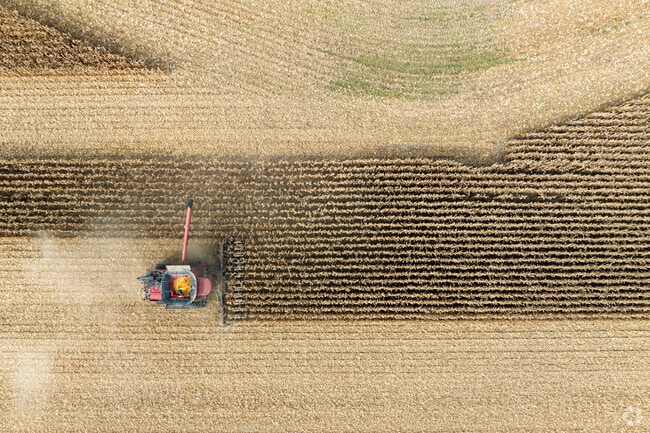 Farming is common throughout the Amboy area.