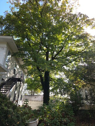 403 W Flower St Unit A, Pulaski, TN 38478