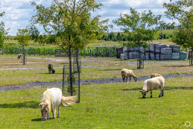 Mini horses and goats are one of your many neighbors in Donerville.