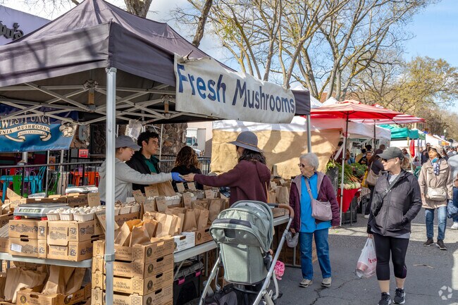 The Campbell farmers market has a down-to-earth feel nearby De Voss-Leigh.