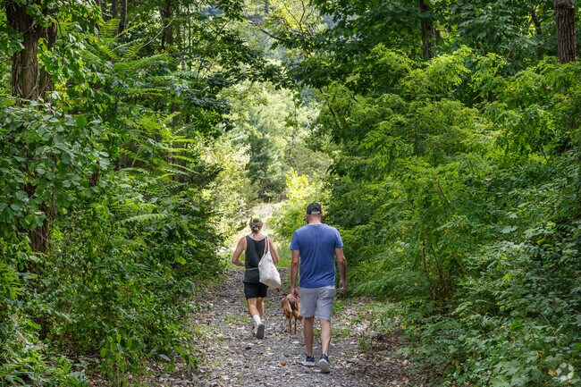 Morning walkers enjoy the winding trail in Sojourner Truth Park’s wooded section.