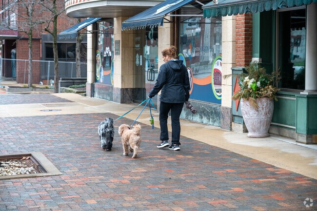 The wide sidewalks in Downtown Canton are very dog-friendly.