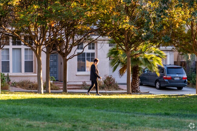 Montelena Park is an ideal location for sports, gatherings, and enjoying nature.