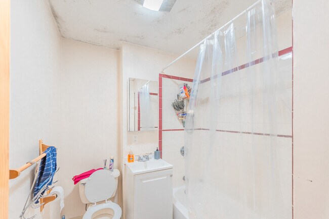 76 Mozart St unit 3, Jamaica Plain, MA 02130 - photo 7