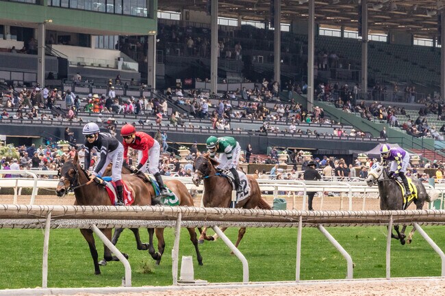Santa Anita Park horses in Arcadia thunders around the stadium.
