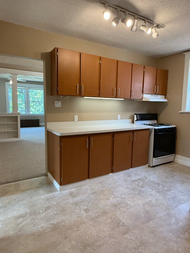 1324 Mccausland Ave unit 2F, Saint Louis, MO 63117 - photo 6