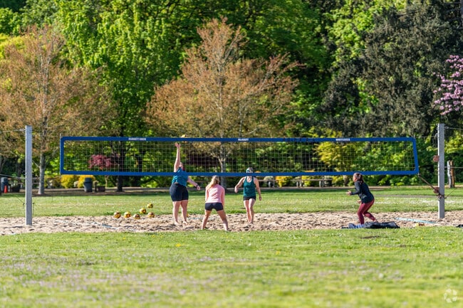 Visitors enjoy a game of beach volleyball at Keizer Rapids Park in Keizer.