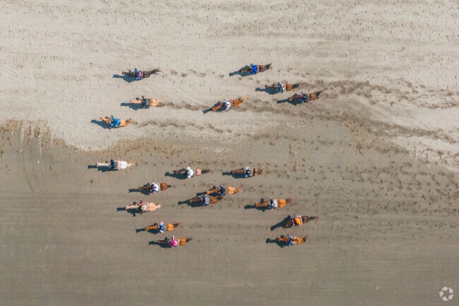 Rent a horse and ride on the sand in Ocean Shores just a few minutes away from Copalis Beach.