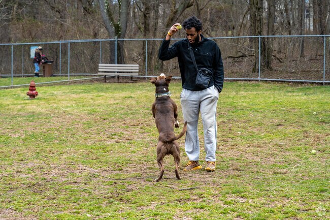 Flourtown Dog Park is the perfect place for your dogs to play.