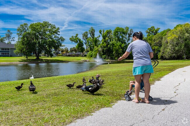 Make some new feathered friends at Polly Palmer Park in Southwest Ocala.