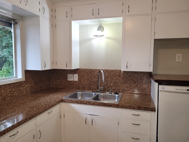 KITCHEN DOUBLE SINK AND WINDOW