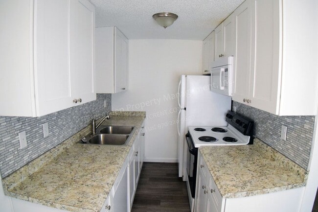 824 N Garfield Ave, Loveland, CO 80537 - photo 6