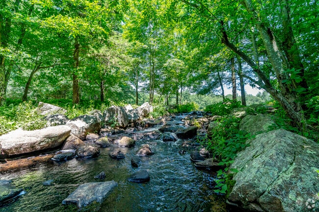 Water flows from Leach Pond into a small stream at Borderland State Park in Sharon.