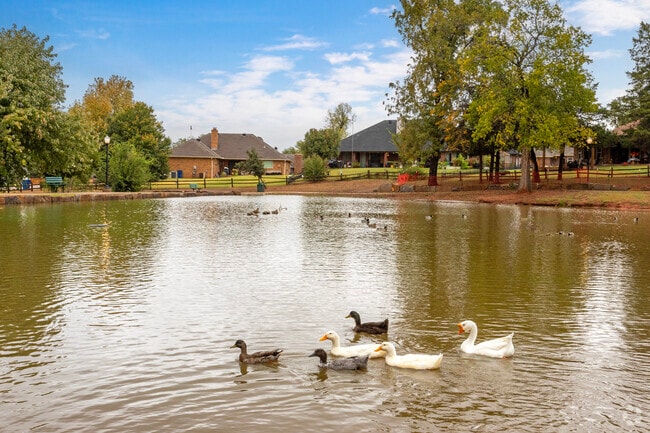Ducks frequent the ponds throughout the Canadian Estates neighborhood.