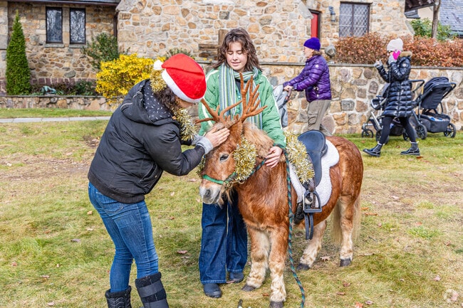 An old fashioned Christmas Fair is a fun way for families to find the spirit of the Holidays.