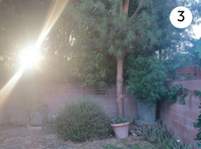 19438 Lorne St, Reseda, CA 91335 - photo 6