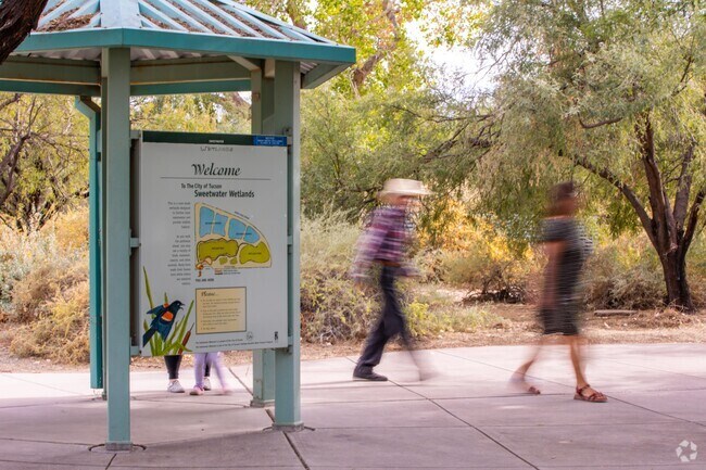 Sweetwater Wetlands: Tucson's ecological treasure awaits your outdoor exploration.