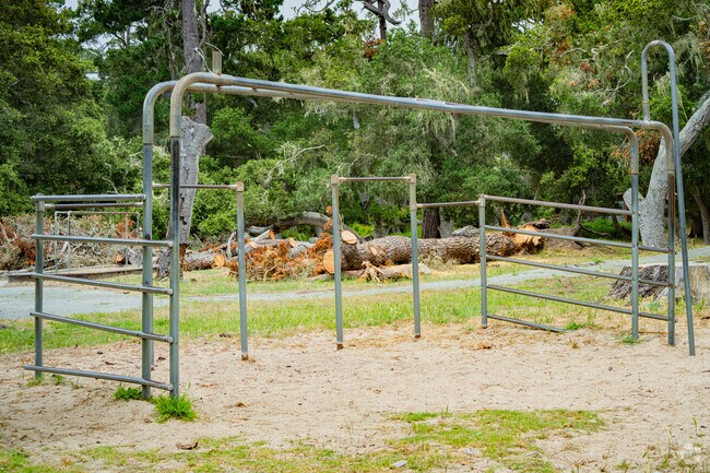 Community High School cleanup of debris after historic winter in Pacific Grove, California.