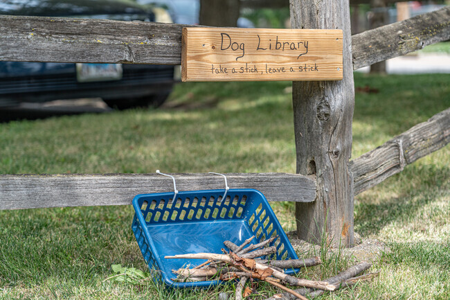 The sidewalks throughout Kingsridge are very dog-friendly.