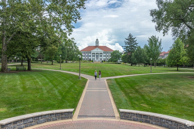 JMU’s Quad is a popular green space for Central Avenue residents to walk in the summer time.