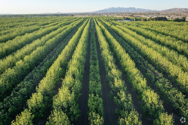 Anthony thrives on its strong agricultural roots.