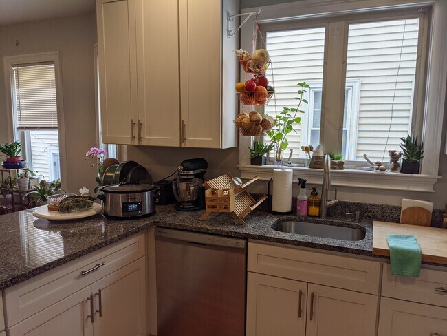 113 W 3rd St unit 113 3rd Street, Boston, MA 02127 - photo 2