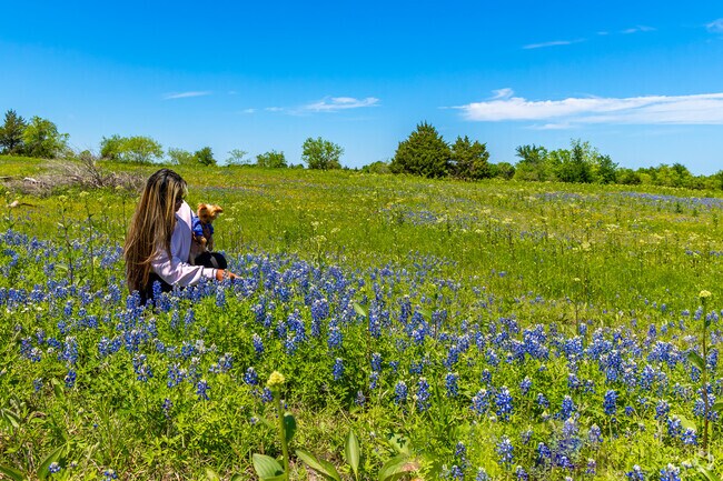 Ennis features over 40 miles of Bluebonnet Trails and attracts tens of thousands of visitors every April.