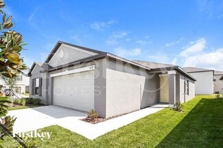 5028 White Chicory Dr, Ruskin, FL 33572