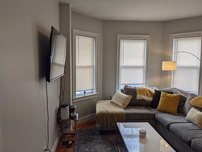 113 W 3rd St unit 113 3rd Street, Boston, MA 02127 - photo 6