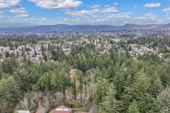 Aerial View of the 46-acre Woods Memorial Natural Area in Crestwood Portland