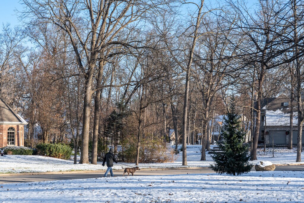 About Martin Woods Schools, Demographics, Things to Do