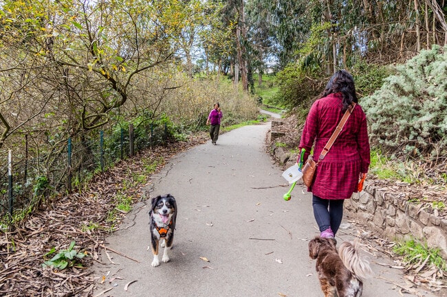 Merced Manor borders Stern Grove, which is the perfect place to enjoy the afternoon.