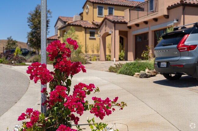 Bright red blossoms add color and fragrance to the homes of Margarita.