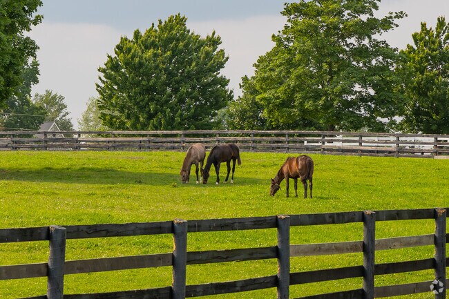 Clifton-McKees Crossroads is located in the region of Kentucky commonly known as the 