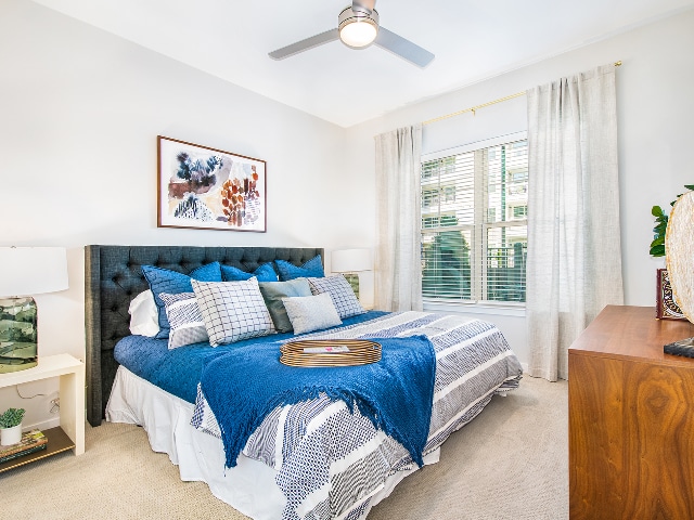 Overture Greenville	 55+ Active Adult Apartment Homes, Greenville, SC 29607 - photo 1