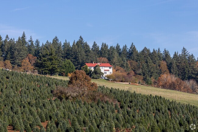 Manu Salem Hills homes enjoy being tucked away high in the hills surrounded by tall pines and fresh air.