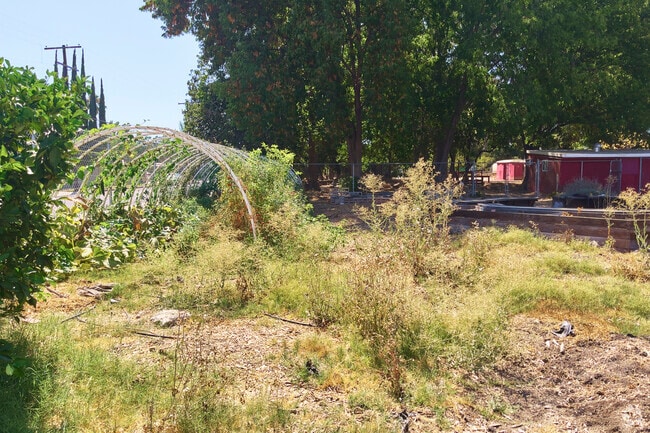 John R. Wooden High School is home to a farm and vegetable garden in Reseda, CA.