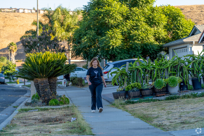 Discover Ashbridge’s charming streets for peaceful strolls.
