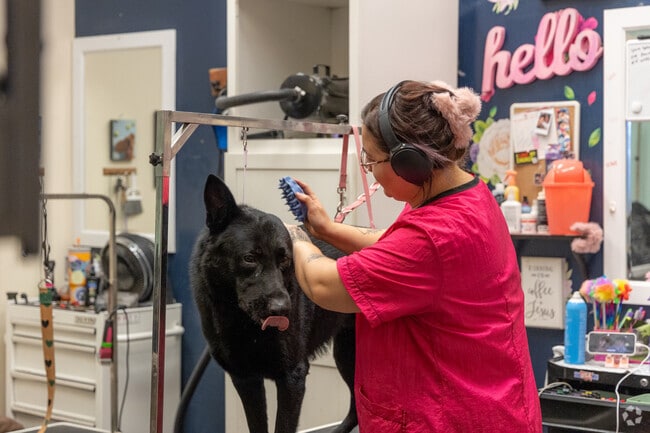North Central Mesa residents can get pet supplies, washing and grooming at Barking Dogs.